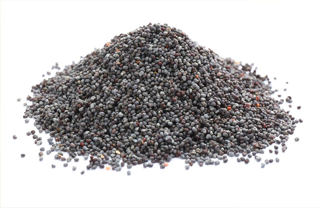 A pile of small, black, round ancient poppy seeds.