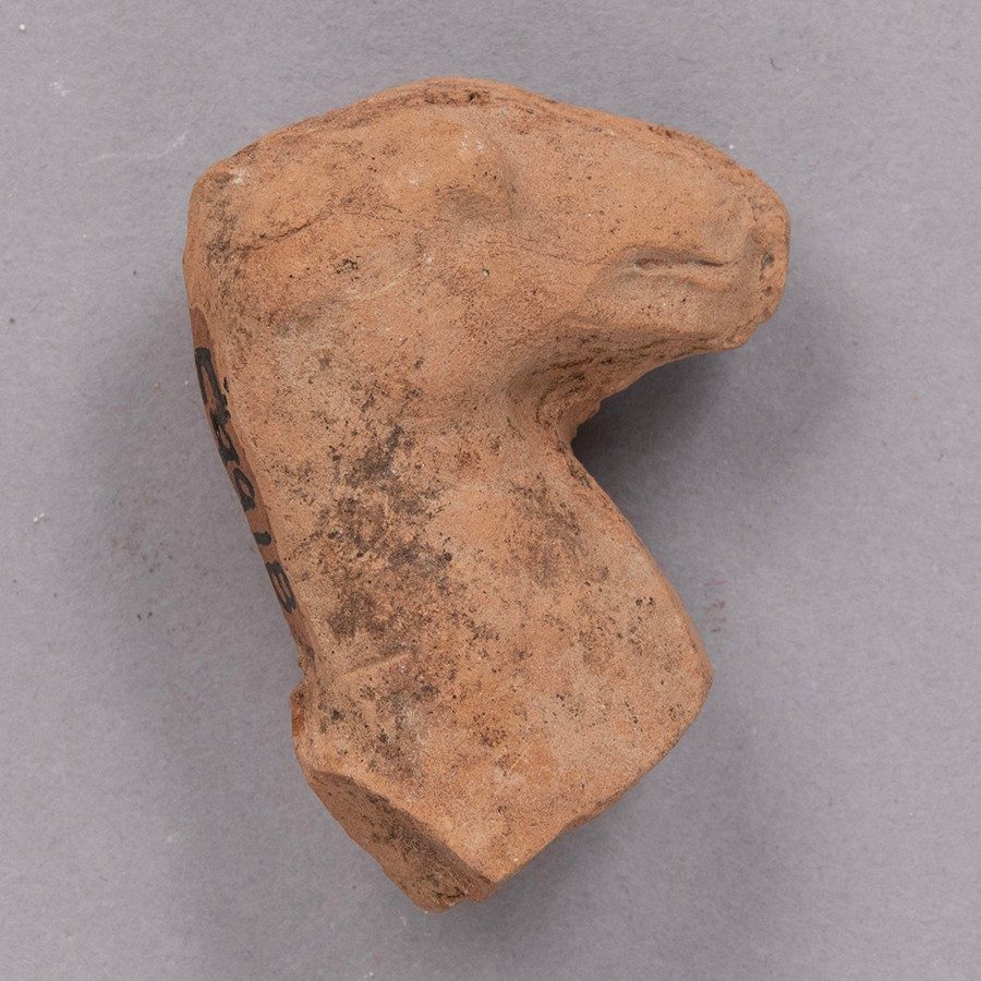 Tan clay fragment shaped into the head and neck of a camel.