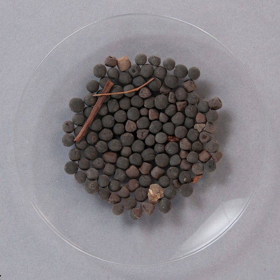 Small clear plastic plate filled with dried brown peas. 