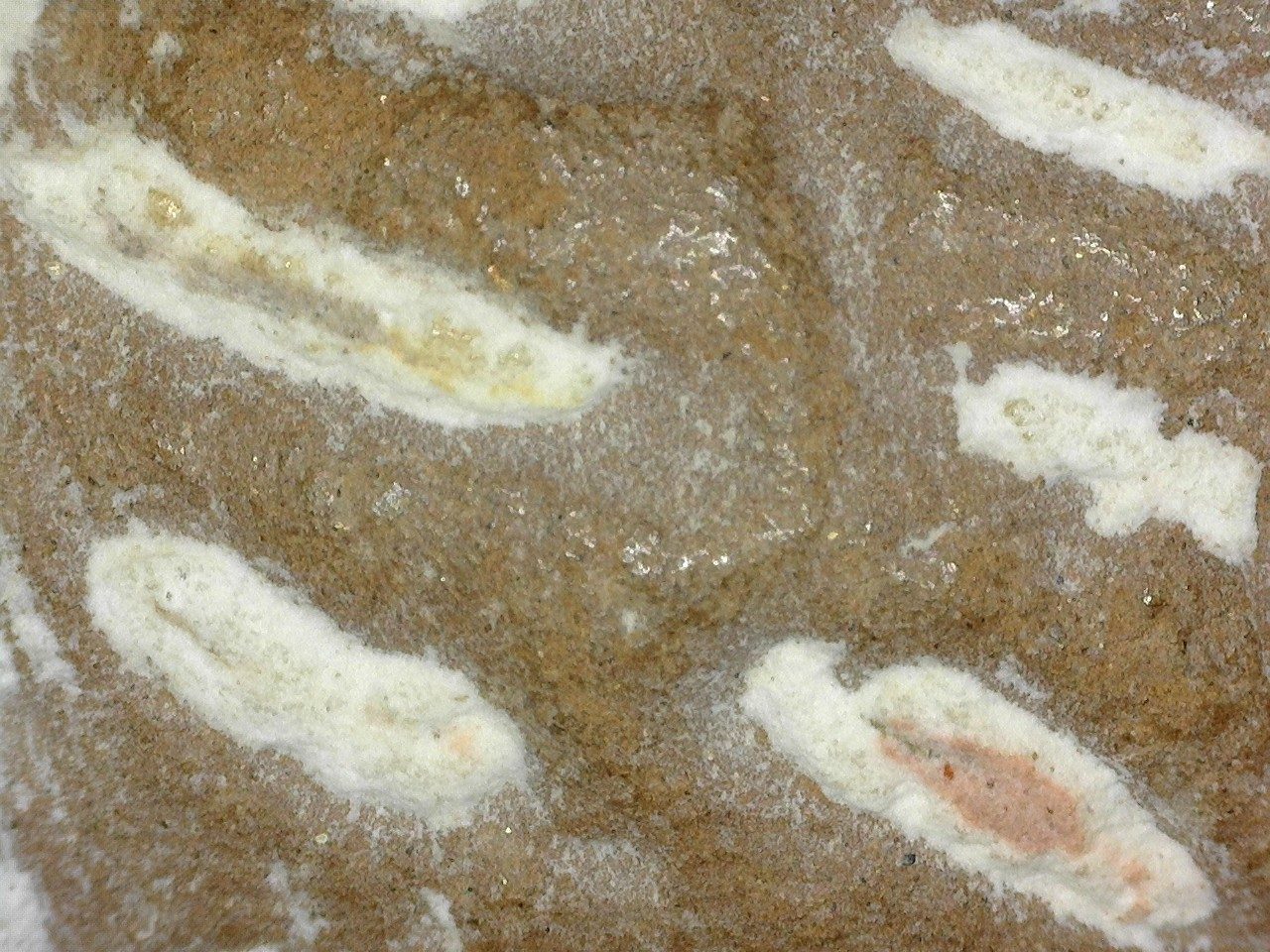 Close-up of surface of the dog’s stomach.