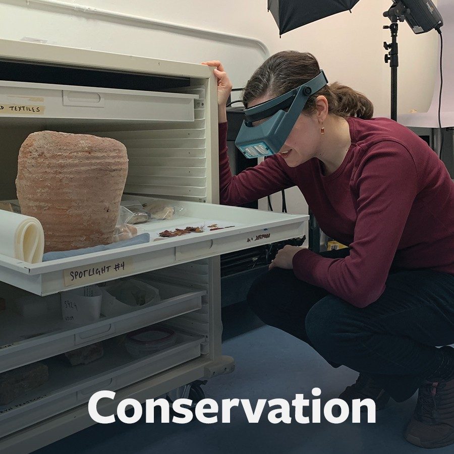 Conservation button.