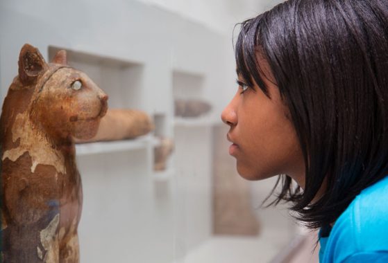 museum visitor and cat mummy