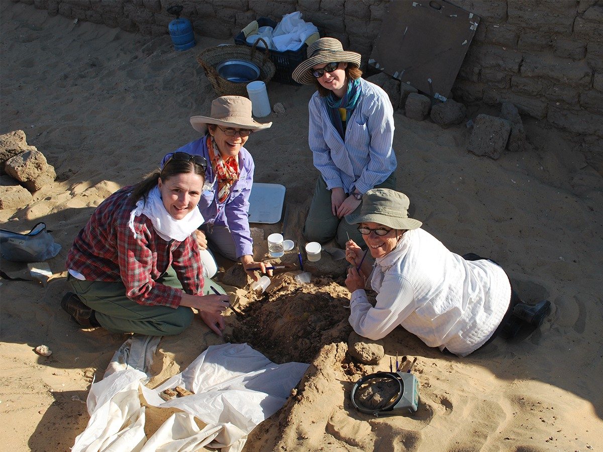 A group of four conservators gathers around a small pile of wood and sand at the Abydos Middle Cemetery site, holding small brushes.
