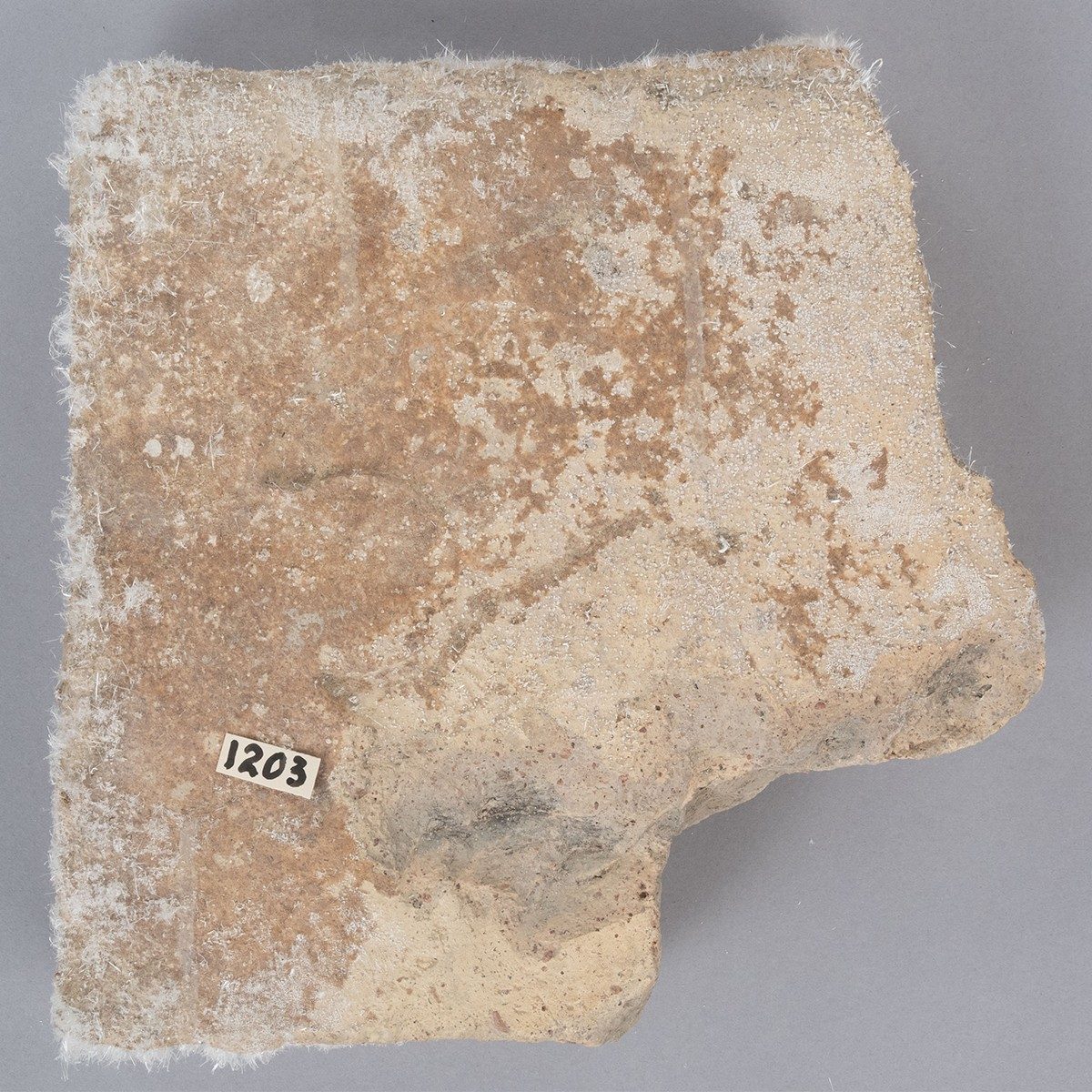 A square light tan brick with a chipped off corner. The surface of the object is covered in fuzzy white salt crystals.