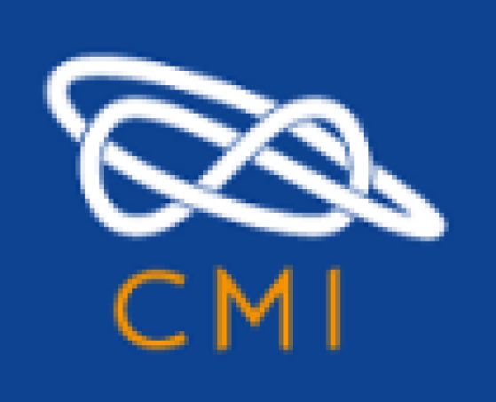 The Clay Mathematics Institute Logo