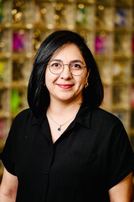 Naghmeh Akhavan