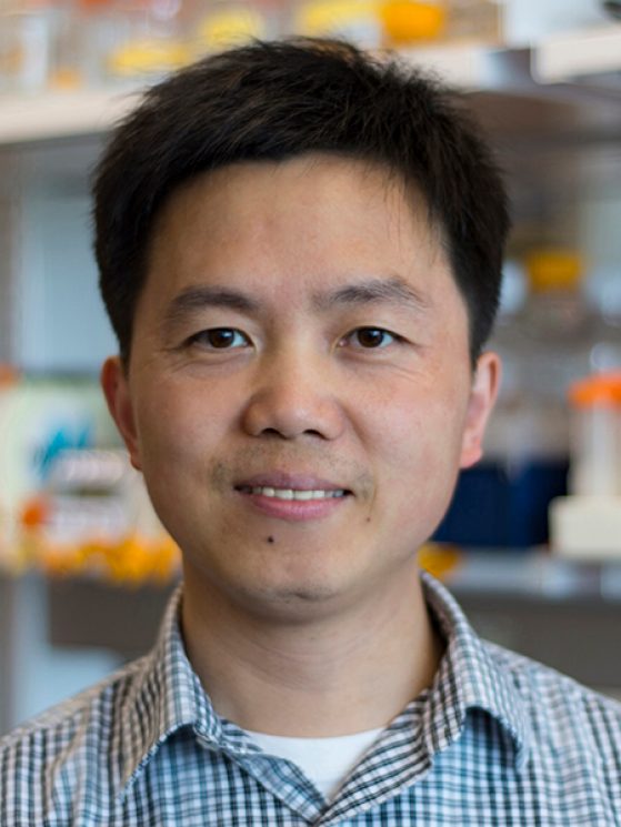 Portrait of Ming Li