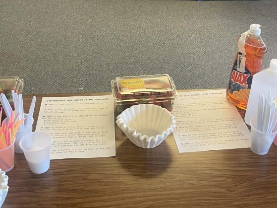 coffee filters, dish soap, instruction sheet set up for hands on activity