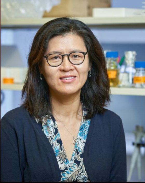 portrait of dark-haired woman in a lab