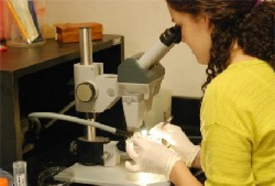 woman looking into microscope with a petri dish on the scope