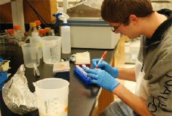 lab scene of a student scientist wearing blue gloves labeling a sample