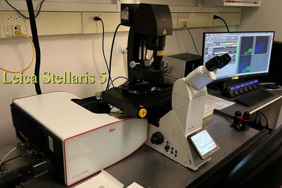 Stellaris5 imaging equipment