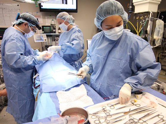 Doctors performing a surgery