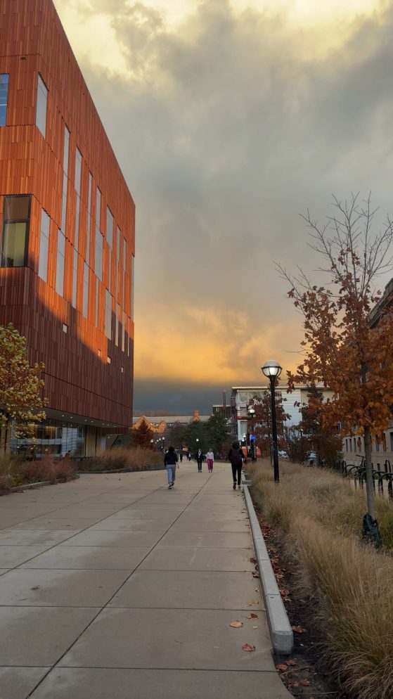 Picture of a beautiful sunset outside the museum of natural history