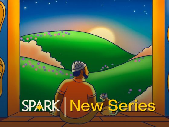 Spark New Series Black Manhood -- Website - 1