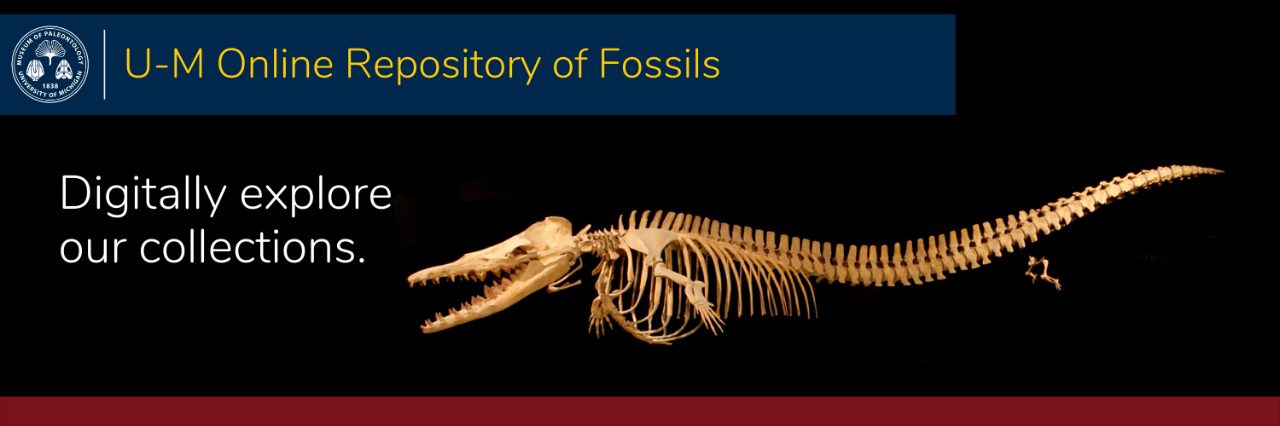 image banner for u of m repository of fossils