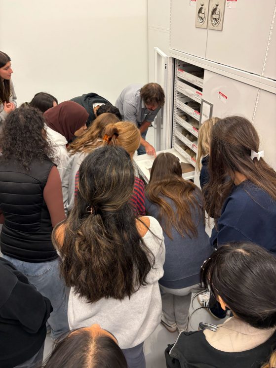 Students viewing specimens