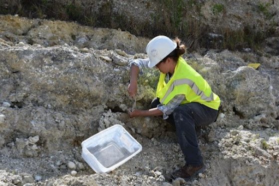 a kneeling woman in a hard hat and reflective vest is removing a sample from a rock formation