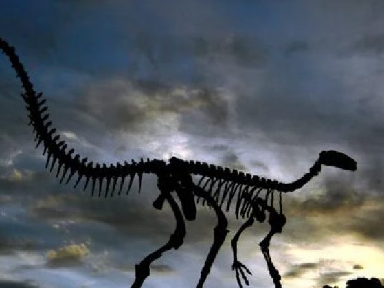 Scientific American-web