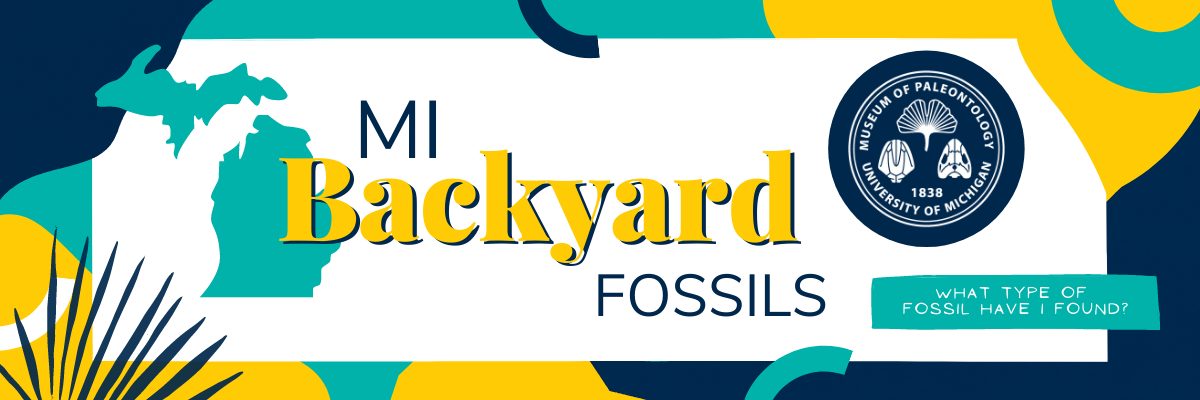 Banner for MI Backyard Fossils Homepage