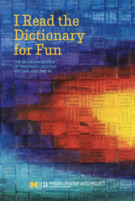 Colorful, abstract cover, "I Read the Dictionary for Fun"
