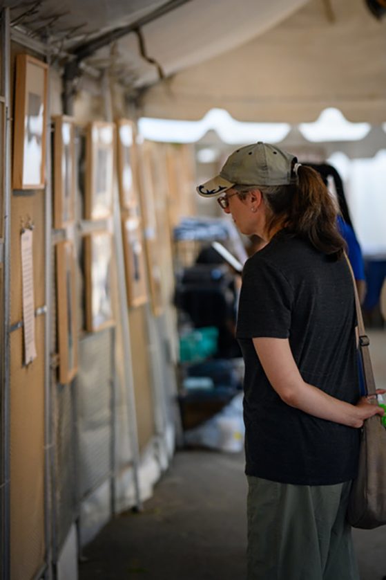 Person looking at artwork hanging on a wall
