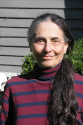 Linda A.W. Brakel