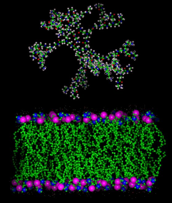 Molecular structure with a branching complex above and a layered membrane-like structure below