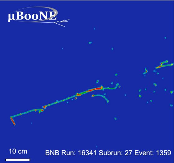 MichroBooNE Collaboration photo of spots and tracks which are particles from a collision  between a neutrino and a liquid argon atrom in the detector.