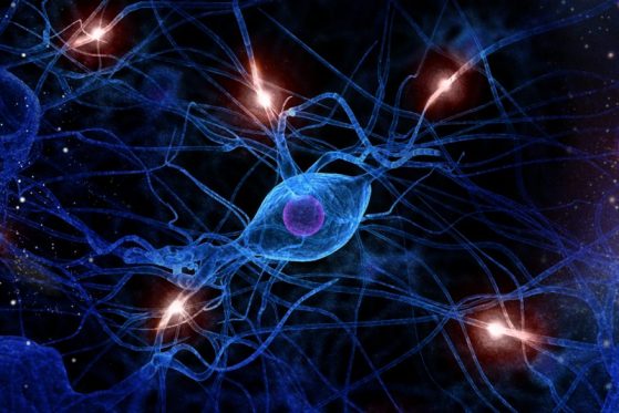 Representation of optogenetic brain imaging