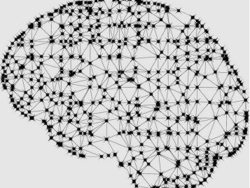 brainwebcropped