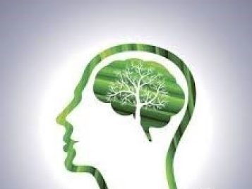 environ psych
