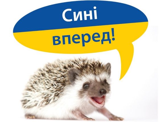 Ukrainian Hedgehog Go Blue!