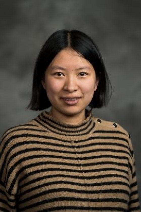 Yang Chen