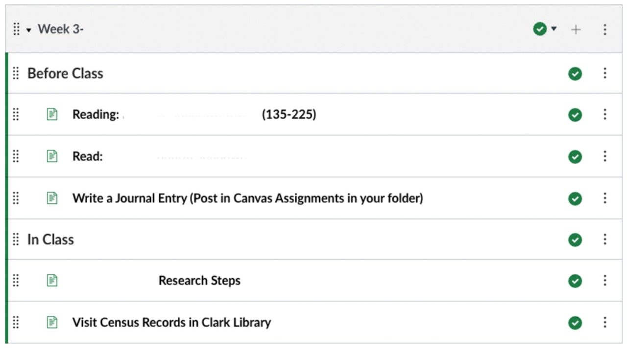 Screenshot of Canvas Module