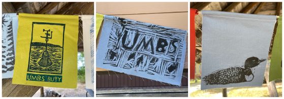 Prints of the UMBS monitoring buoy, the letters "UMBS", and a loon. 