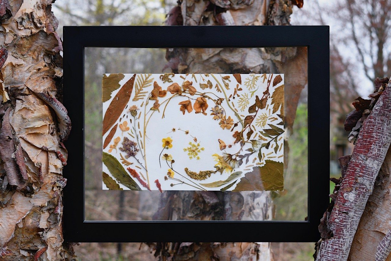 Framed art hung on a tree outside