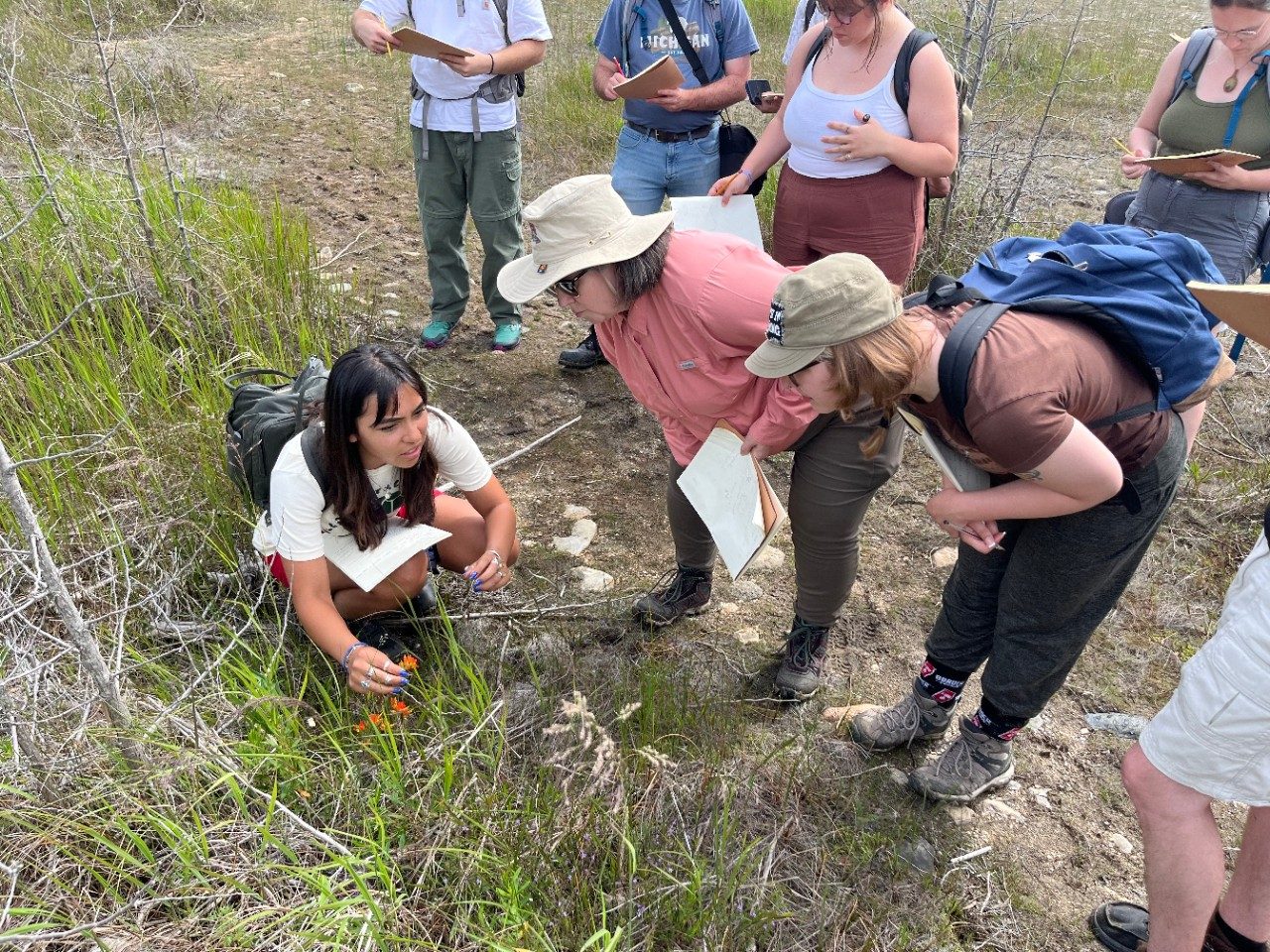 Group in a forest looking at a plant on the ground