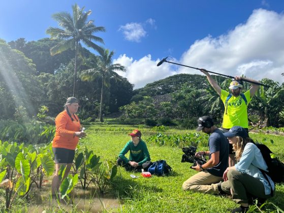 Tropical setting with a camera crew