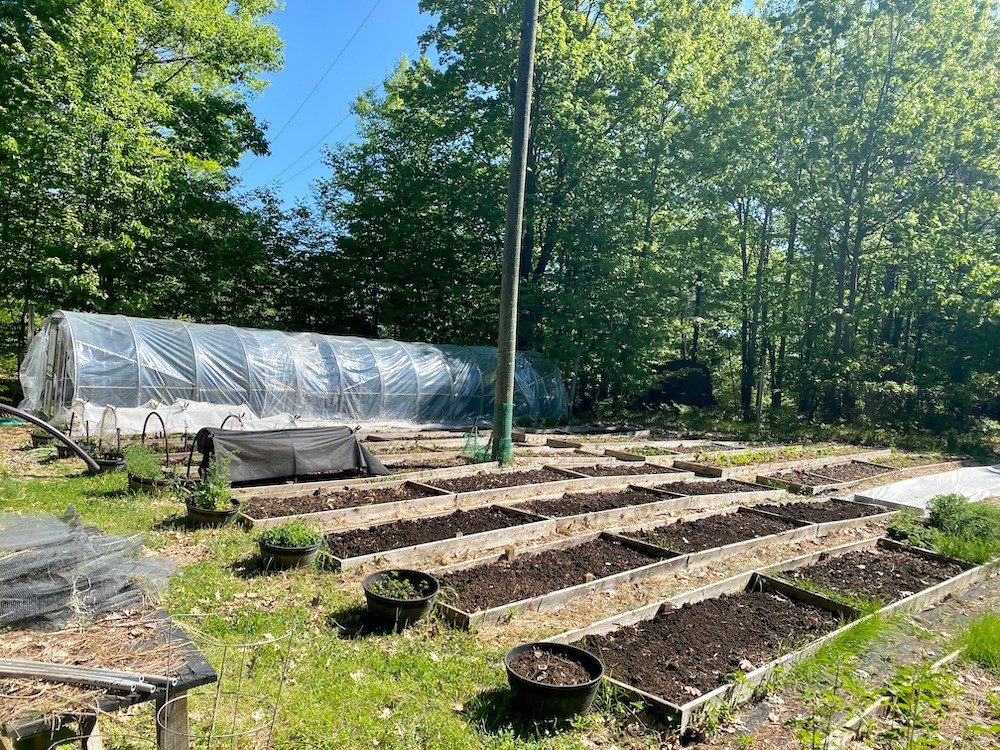 Hoop house and raised garden beds
