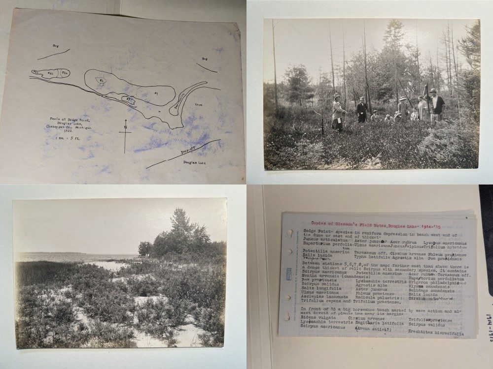 Collage of old black and white photos