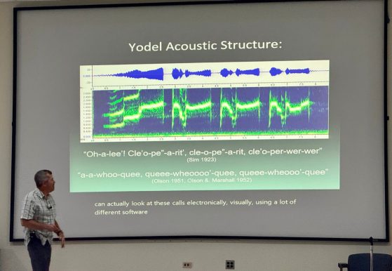 Power Point slide showing the acoustic levels of a loon call