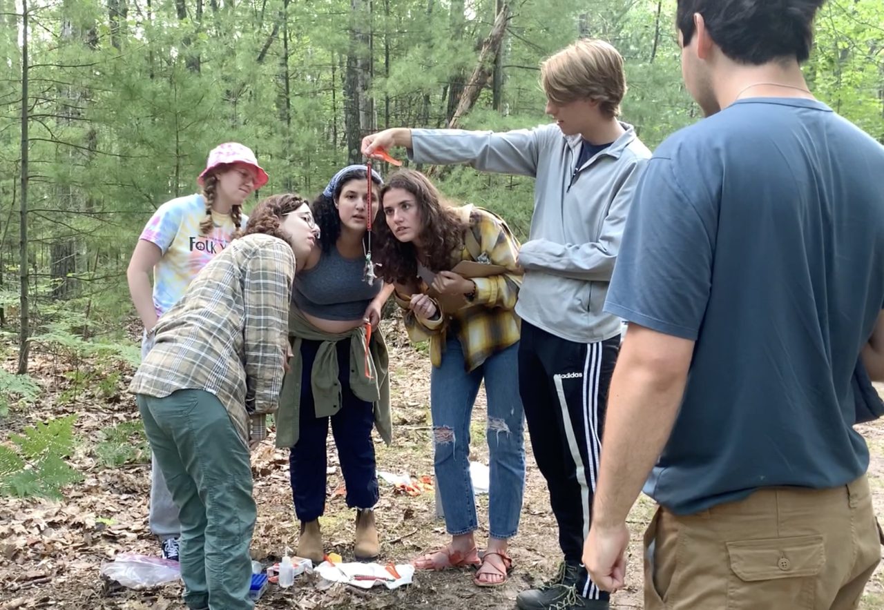 People in a forest looking at a mouse
