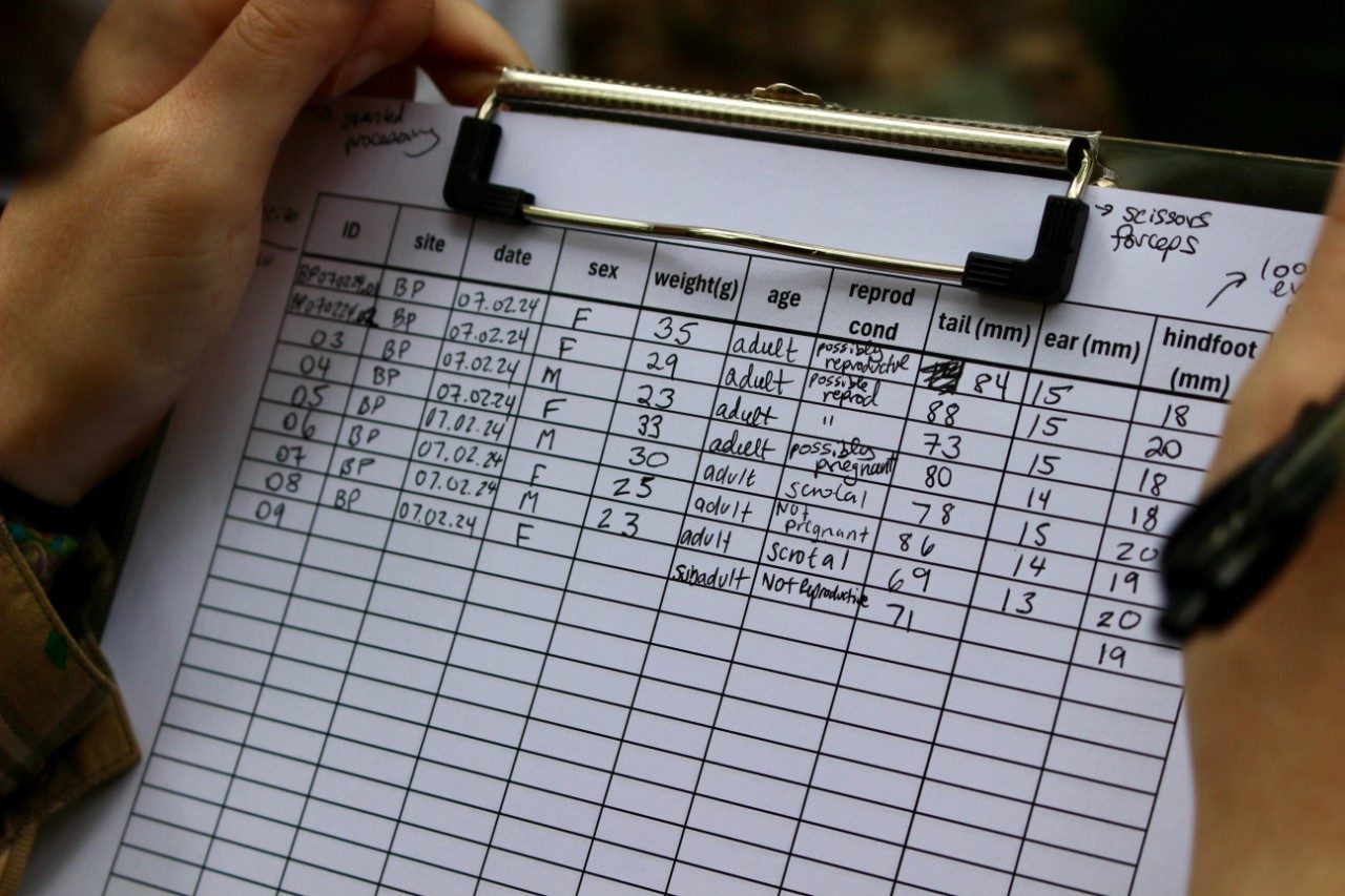 Notepad with columns filled with numbers and words