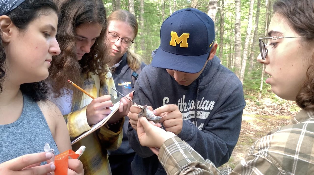 People in a forest looking at a mouse
