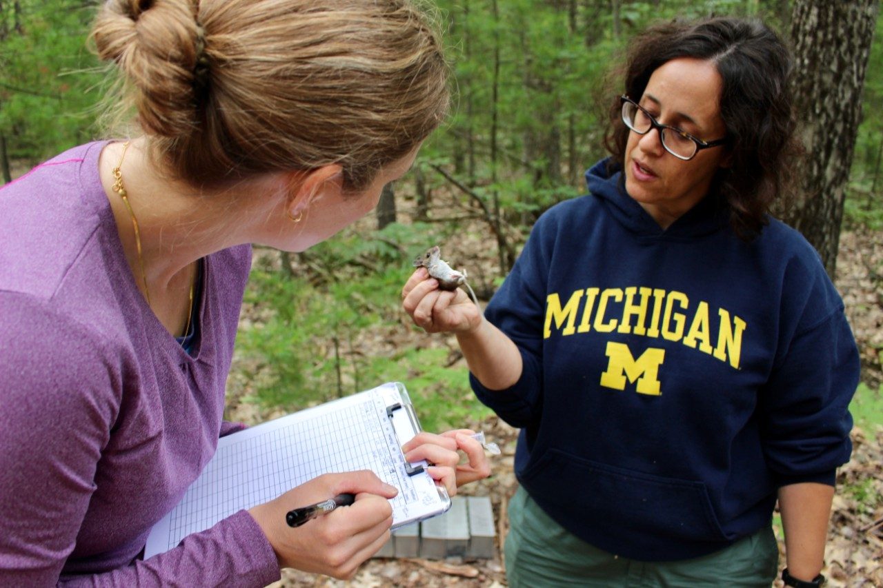 Woman holds a mouse in a forest