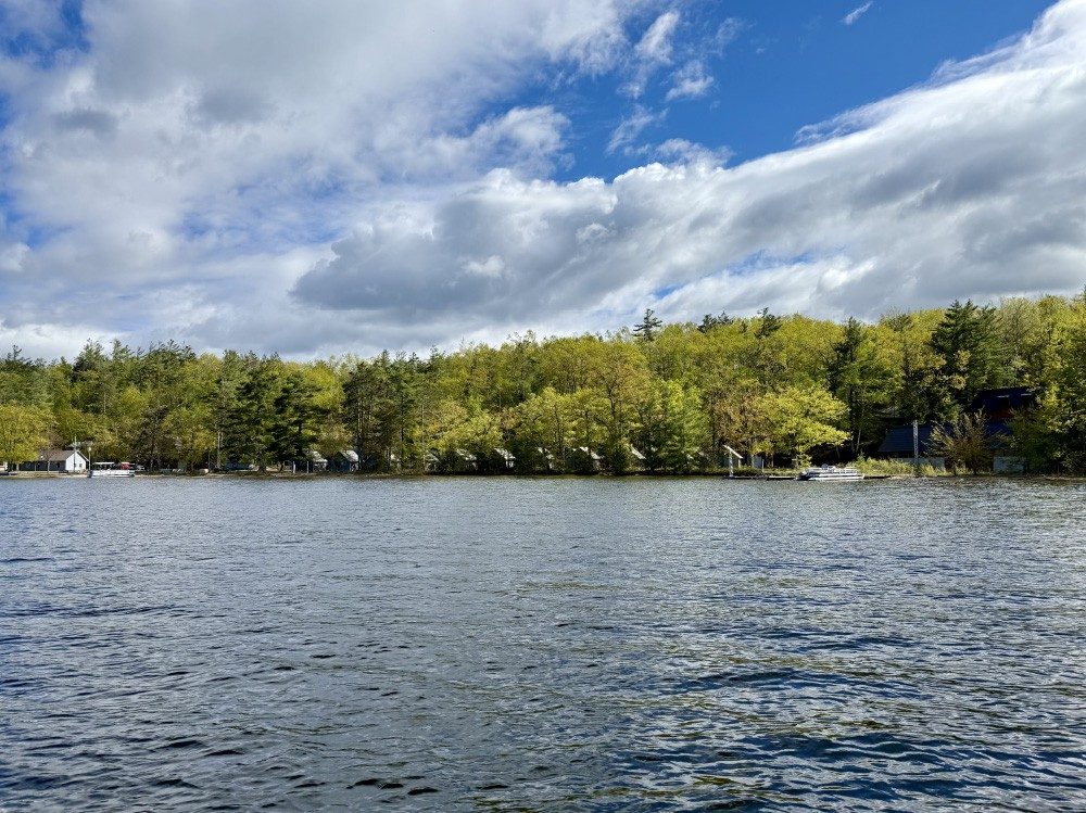 Lake shoreline