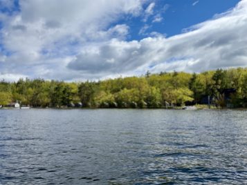 Lake shoreline