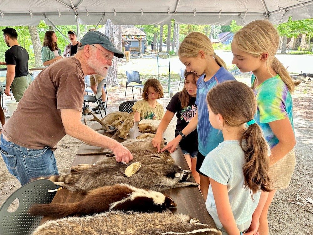 People looking at mammal specimens on a table