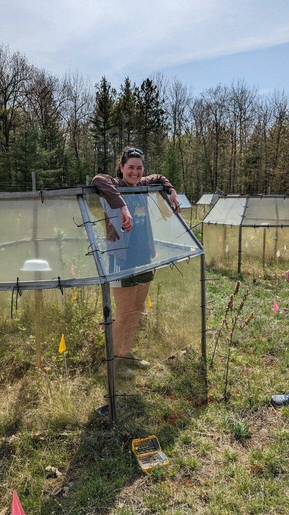 Woman standing outside by a science experiment in a field surrounded by trees